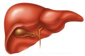 Na fase aguda da helmintiase, pode ocorrer un aumento do fígado
