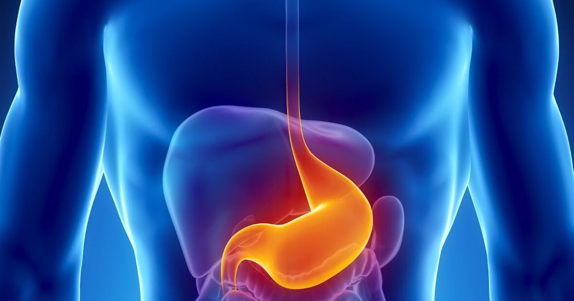 Contra-indicacións para a limpeza do corpo de parasitos